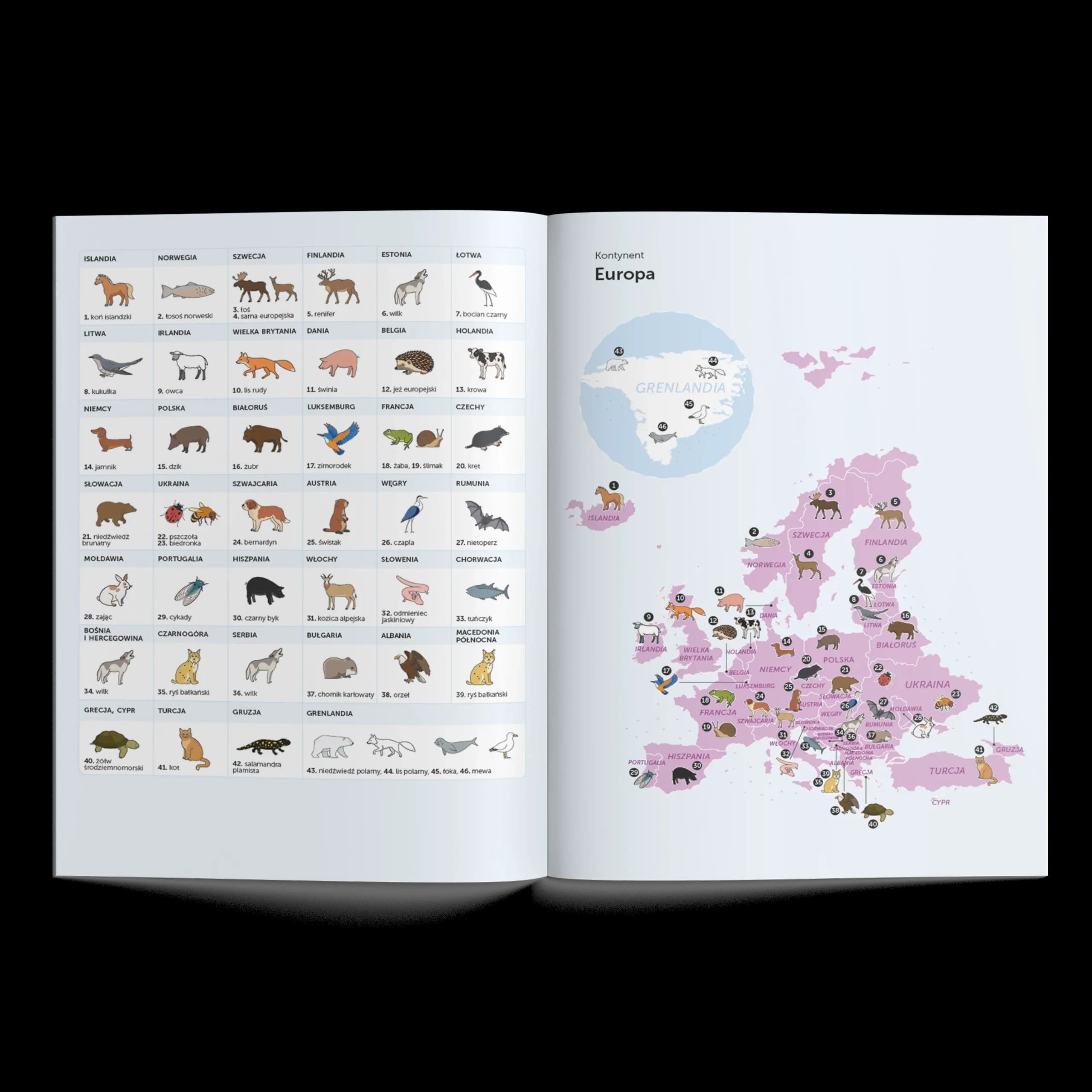World map booklet