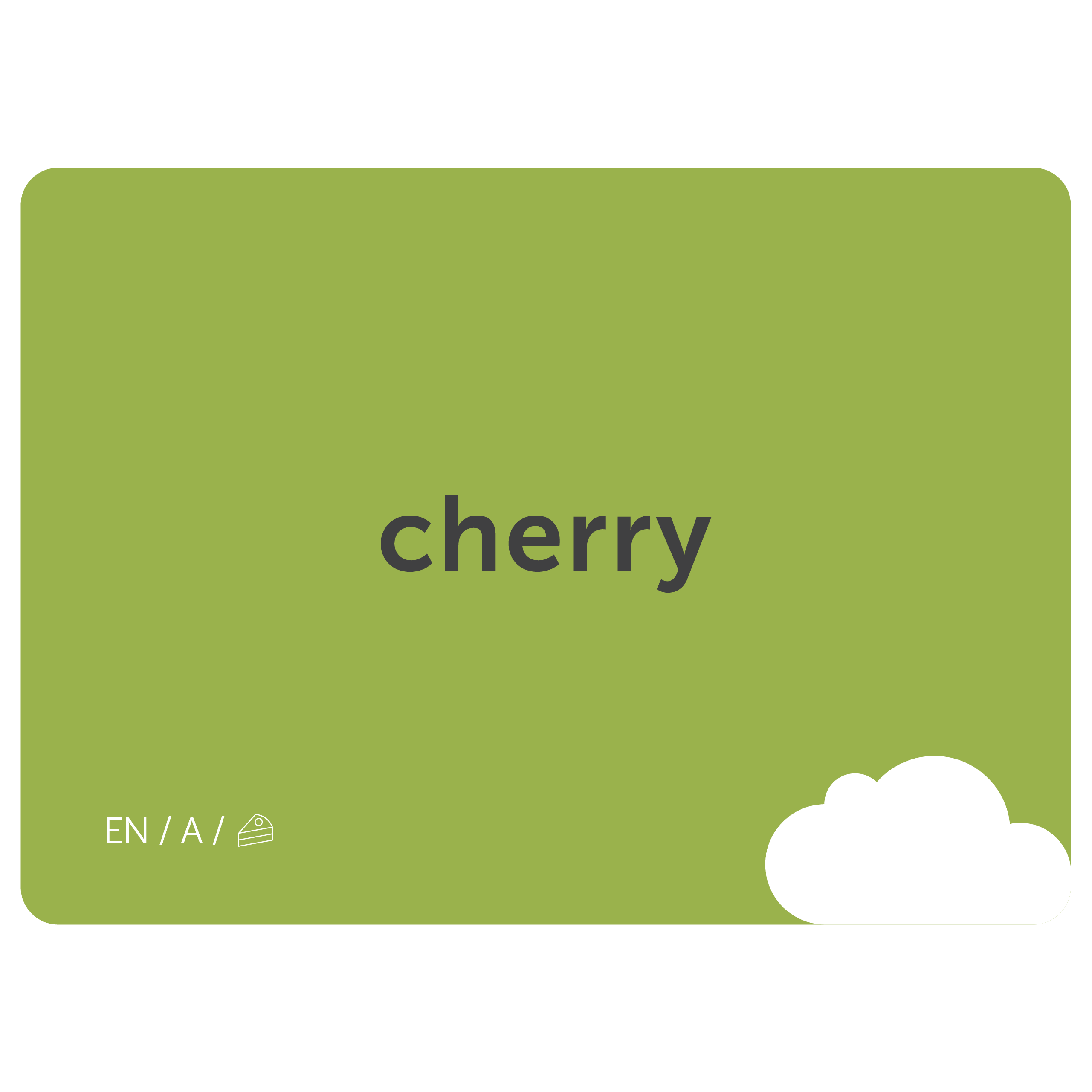 Playing with the Flience language flashcards