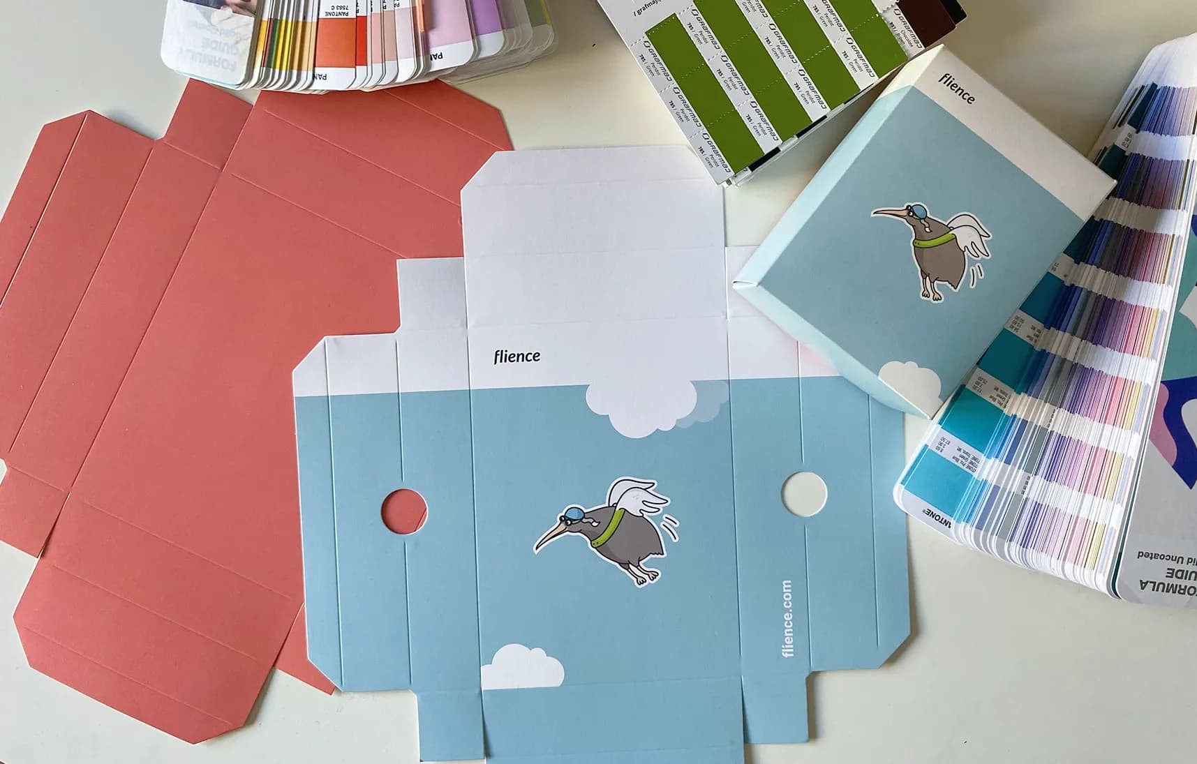 Prototyp pudełka Flience