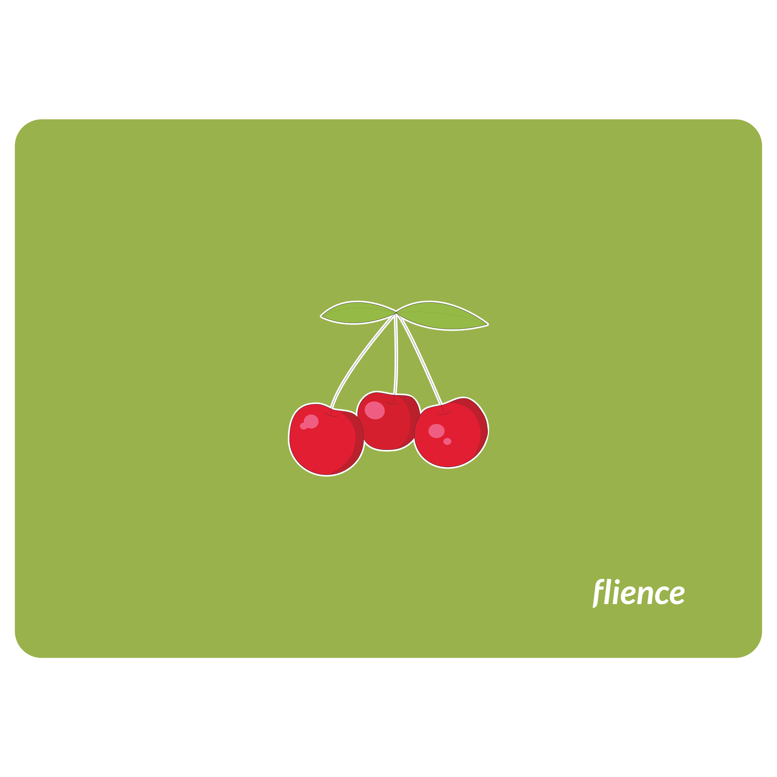 Flience language flashcards